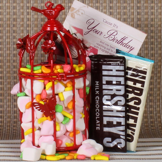 Birthday Cage of Hershey's and Marshmallow Chocolates
