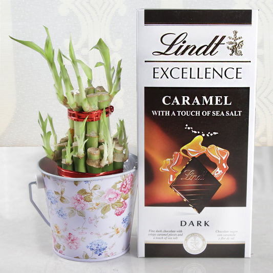 Lindt Excellence Chocolates with Good Luck Geen Plant
